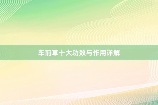 车前草十大功效与作用详解